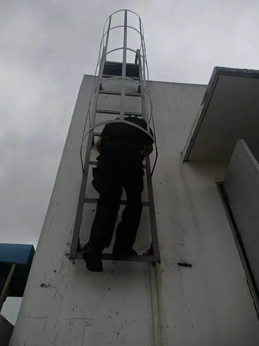 C:/Users/BA/Desktop/風(fēng)雨過后南京保安迅速行動(dòng)，恢復(fù)安“寧”面貌/3.jpg3